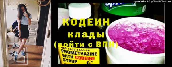 стаф Киренск