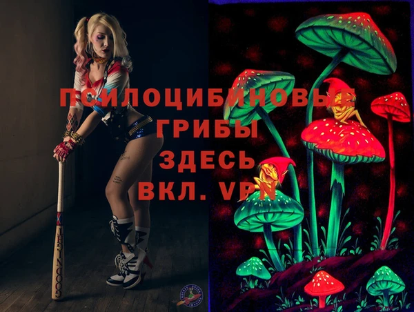 гашик Касимов