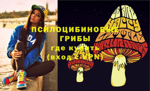 а пвп мука Карпинск