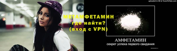 прущие грибы Карталы