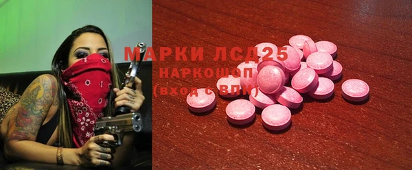 стаф Киренск