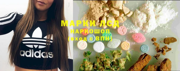 прущие грибы Карталы