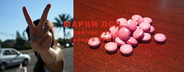стаф Киренск
