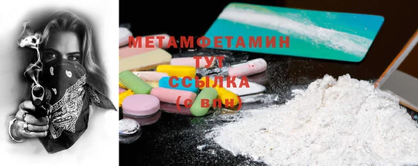 прущие грибы Карталы