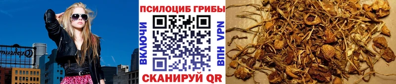 Псилоцибиновые грибы мицелий Купить Сарапул